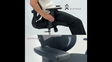 ELYSIA ERGONOMIC CHAIR
