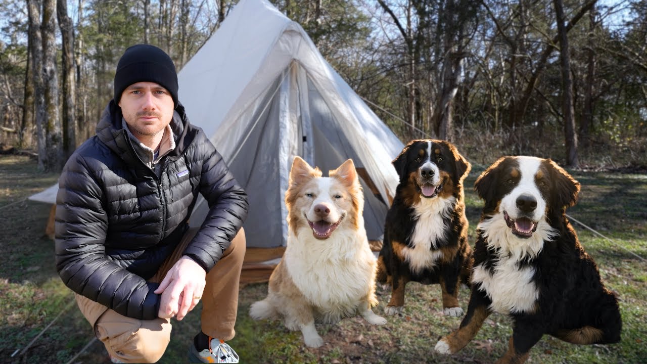 Tent Camping With Our XL Dogs – In Memory of Desmond ❤️ 🐾
