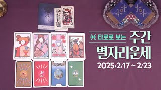 타로 |  25년 2월 셋째주 별자리 운세 (2/17~2/23)
