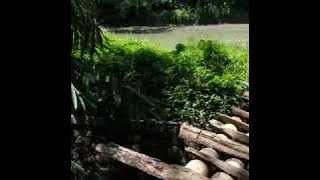 The soundless - cerita kita