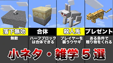 マインクラフト 小ネタ 雑学13選