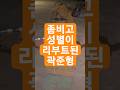 [좀비고]성별이 리부트된 곽준형 #좀비고