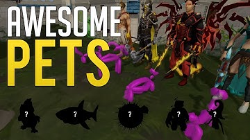 10 Awesome Pets you didn