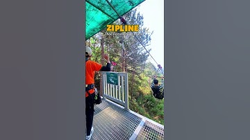 Zipline ngắm rừng thông và thác nước tuyệt đẹp từ trên cao tại Thác Datanla, Đà Lạt.