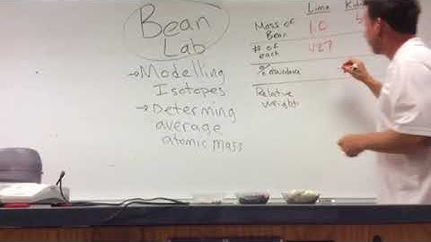 Bean Lab