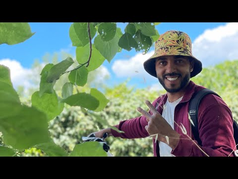 الخدمة عند العرب في إيطاليا
