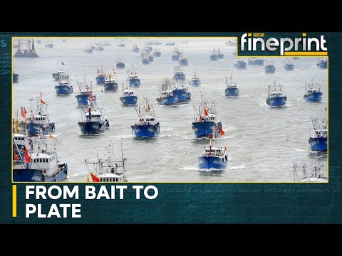 How China’s fishing