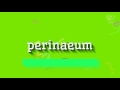How to say perinaeum high quality voices