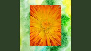 Pulsating Ambiance for Infinite Mixes