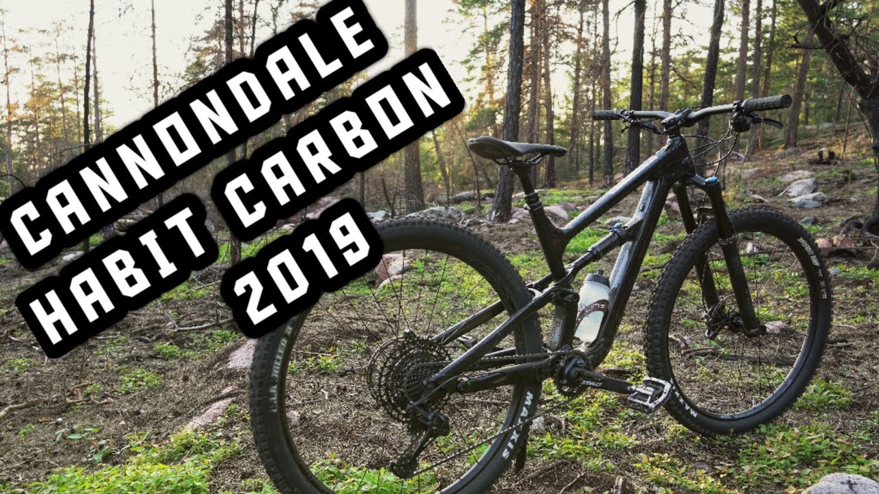 cannondale habit 3 2019