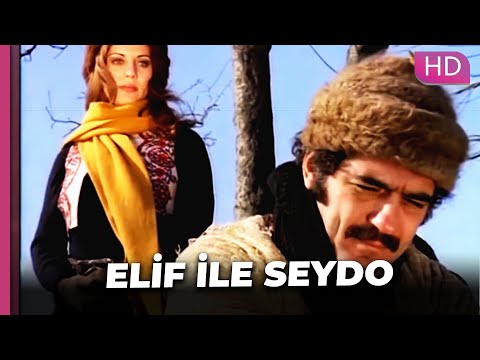 Elif ile Seydo | Fikret Hakan Müşerref Tezcan Eski Türk Romantik Filmi | Full Film İzle