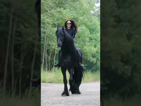 عاشقة الخيول