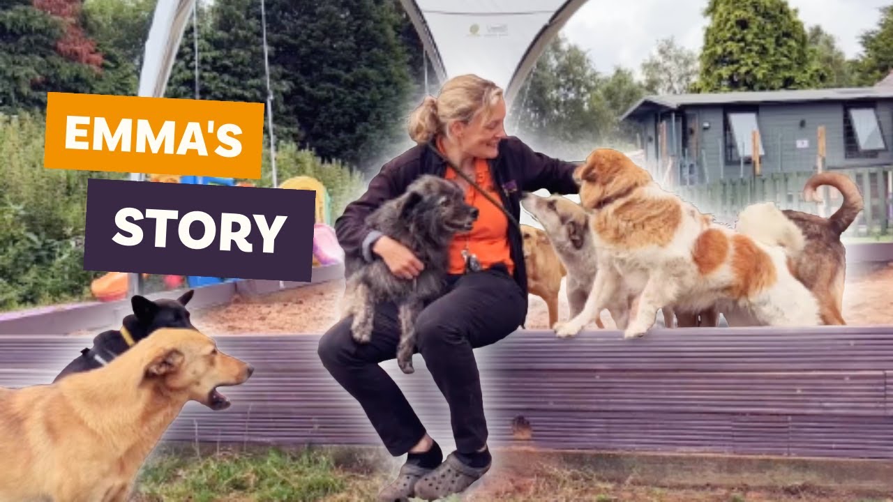 Emma's Story | Play The Rescue Lottery by Dogs 4 Rescue