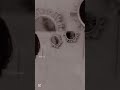 جديد رحمه رياض تعا خبيك