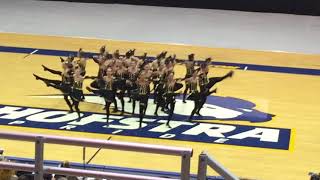 Gold Kickline 2018