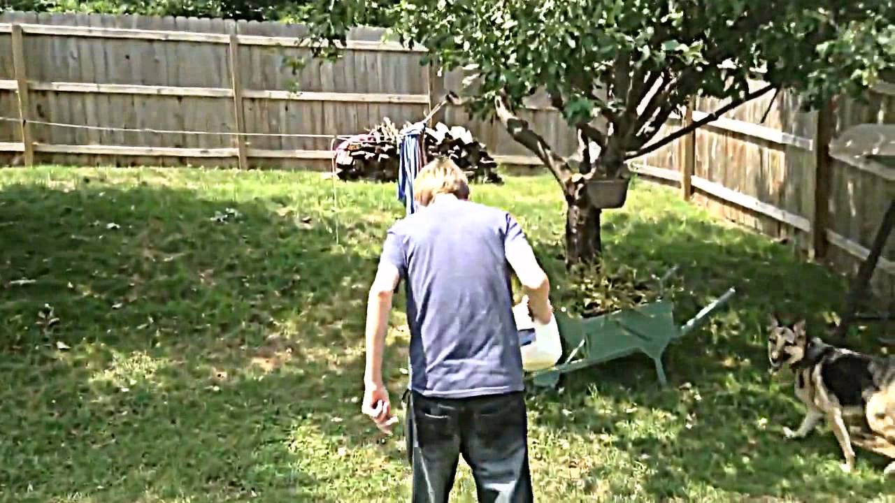 Chilli Eating Contest Bath Chilli Festival Sat 26 Sept 2015 YouTube