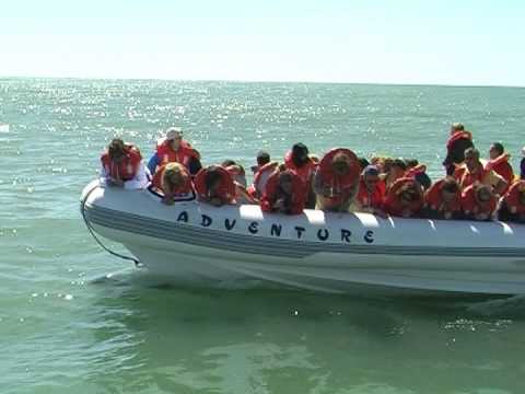 camatagua guys Ni tan al margen, política marquina denuncia proyeccionales poblaciones del ine: en camatagua, la población va a crecer 76% en seis meses 21 abril, 2015. camatagua guys Ni tan al margen, política marquina denuncia proyeccionales poblaciones del ine: en camatagua, la población va a crecer 76% en seis meses 21 abril, 2015.