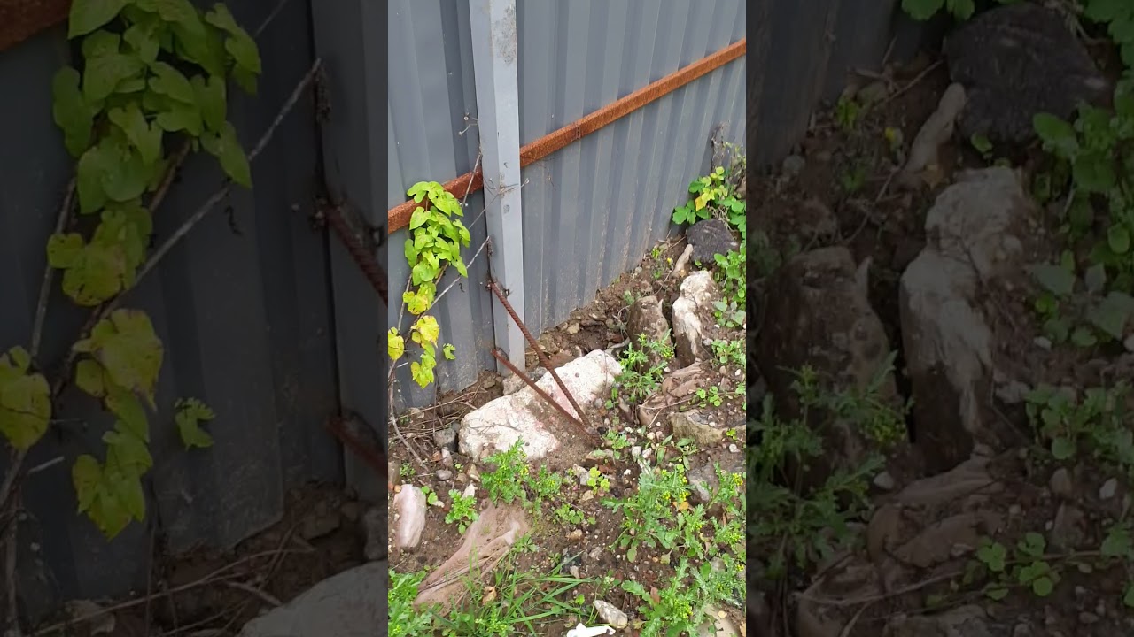 У забора покосились столбы. Забор завалился.Что делать? - YouTube
