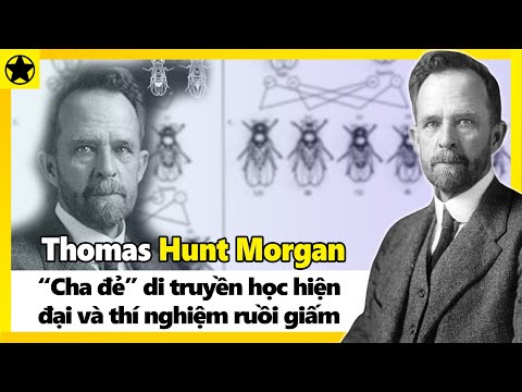 Video: Bản Chất Của định Luật Morgan Là Gì