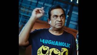 brahmanand gif video August 18, 2023