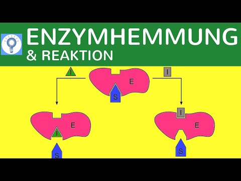 Video: Unterschied Zwischen Enzyminhibitor Und Enzyminduktor