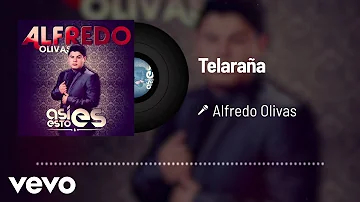 Alfredo Olivas - Telaraña (Audio)