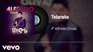 Alfredo Olivas - Telaraña (Audio) chords