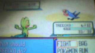 Pokemon Ruby Walkthrough part 4 how to catch a pokemon
