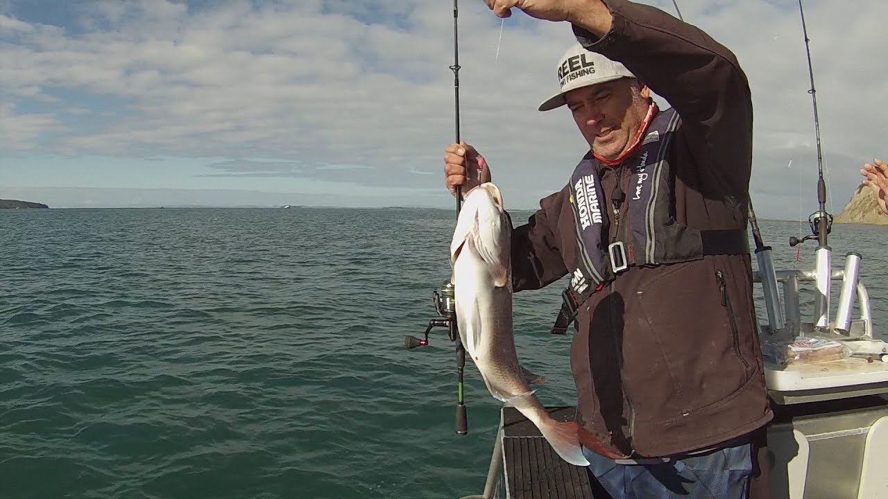 Fun day Straylining Whangaparoa head - YouTube
