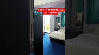 Best Homestay in Dawaipani with a Direct Kanchenjunga View | Best Offbeat Homestay in Darjeeling