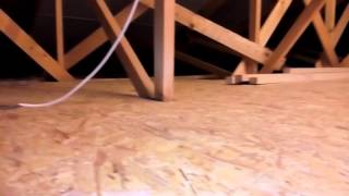 VID 20160311 031307