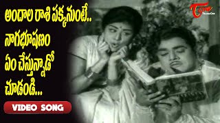 అందాల రాశి పక్కనుంటే నాగభూషణం ఏం చేస్తున్నాడో చూడండి..| Evergreen Telugu Song | Old Telugu Songs