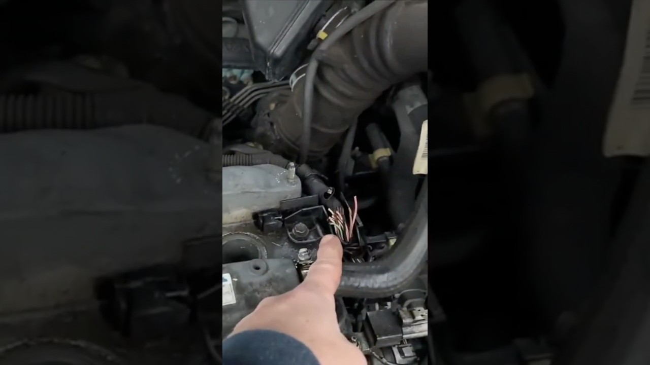 Will it Run!! 2002 Toyota Camry #toyota #camry #willitrun #automobile #mechanic #diy #repair