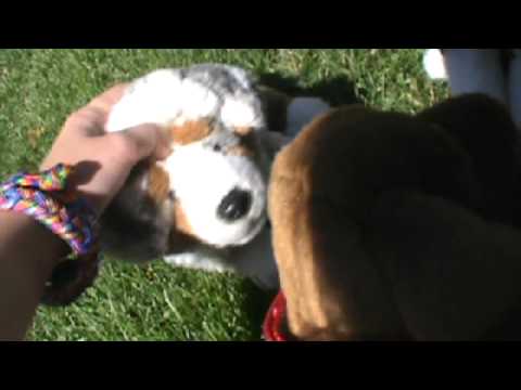 camera iphone 8 plus apk new series trailer!!!! (bear and oscar show)