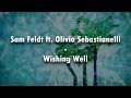 Sam Feldt Ft Olivia Sebastianelli Wishing Well Lyrics Video mp3