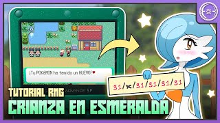 ¡Consigue crías SHINY PERFECTAS! ✨ | RNG de crianza (Esmeralda)