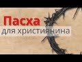 Що означає Пасха для християнина? | Ранок надії | телеканал Надія