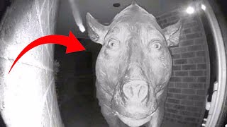 10 Scariest Moments Caught on CCTV Cameras!