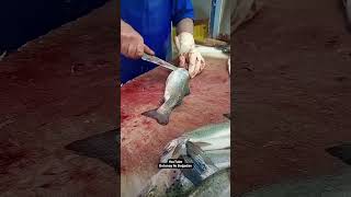 5 Sn Alabalik Nasil Temi̇zleni̇r