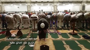 صلاه الفجر -  ما تيسر من سوره البقره -  الشيخ عبد الخالق عطية