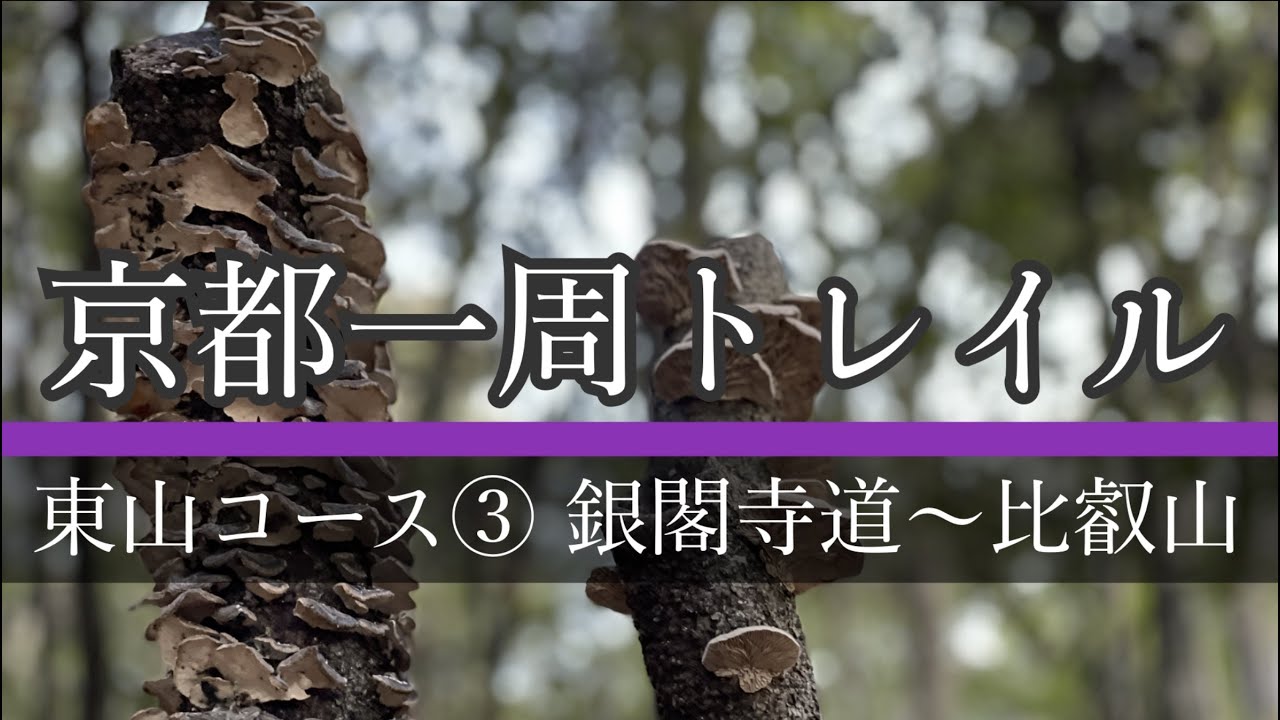 【京都一周トレイル③】雪の比叡山『もっと山歩き好きになる！』銀閣寺道〜比叡山