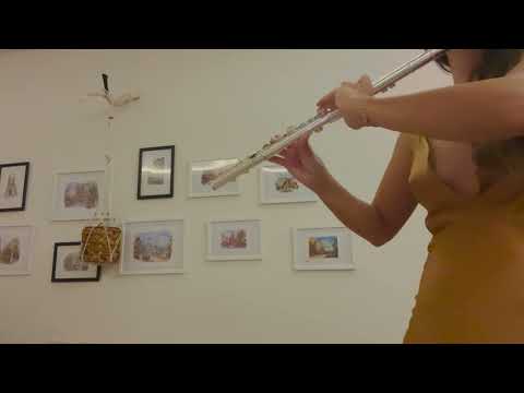 Bu Tepe Pullu Tepe (flute cover)