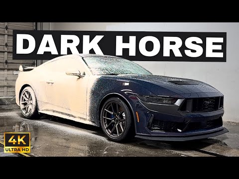 Dark Horse Foam
