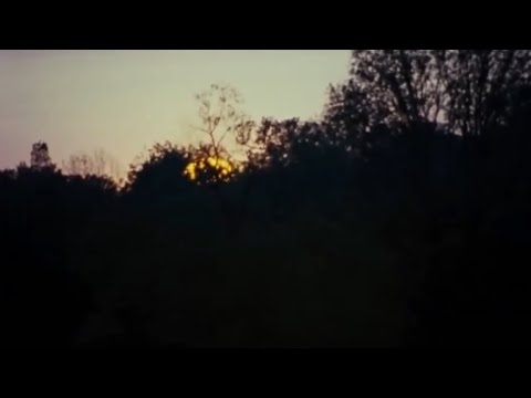 TarmanSlasher92