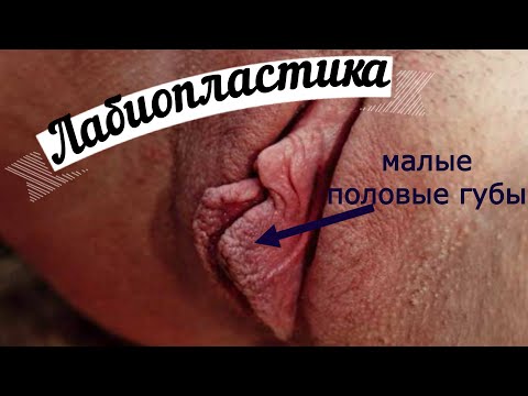 Как сшить киску