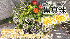 寄せ植えチャンネル Youtube