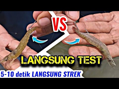 Cara Pasang Umpan