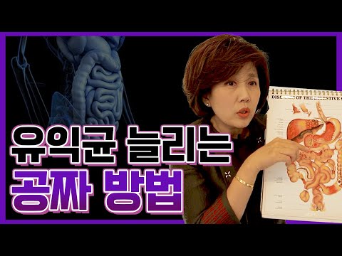 장내 유익균을 공짜로 늘리는 꿀팁! 이것만 바꿔도 장을 튼튼하게 만들 수 있어요!