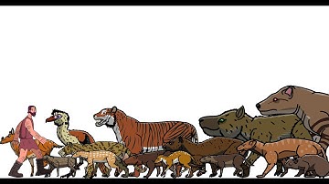 Size Comparison: Age of Mammals(Cenozoic Era) part 01