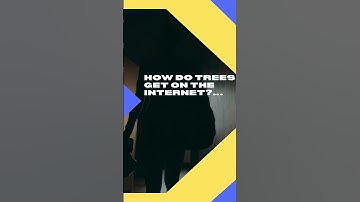 How do trees get on the Internet?
